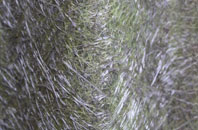 Cherhill fibreglass roof work